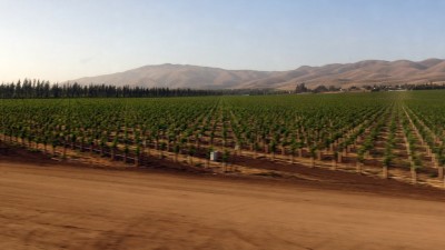 Seemingly endless farms in Central California.