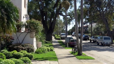 Strolling through a quiet neighborhood in Santa Barbara.