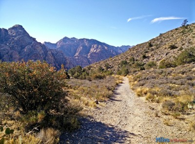 Red Rock Canyon Hiking Trails - La Madre Springs