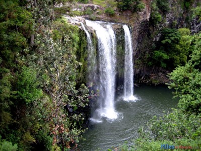 Whangarei Falls in New Zealand.