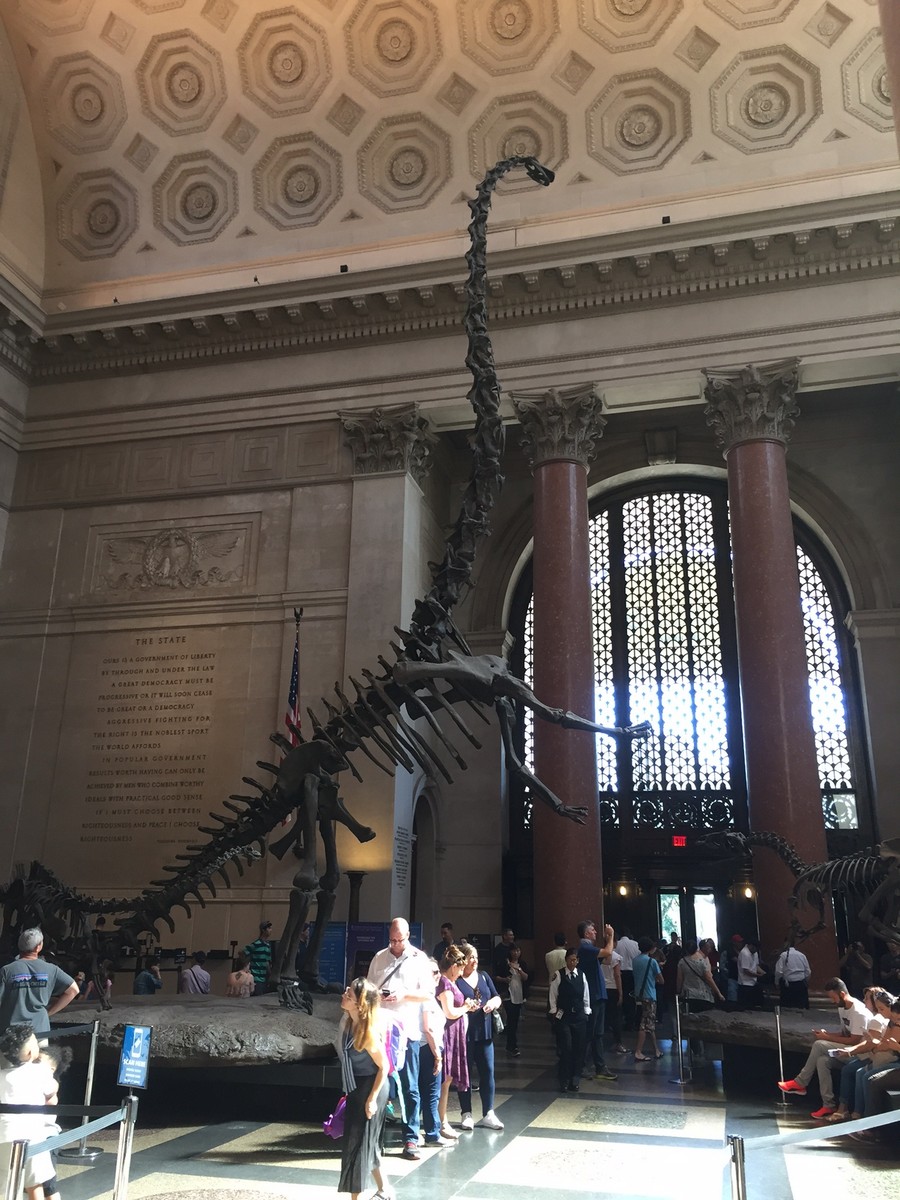 American Museum of Natural History Review