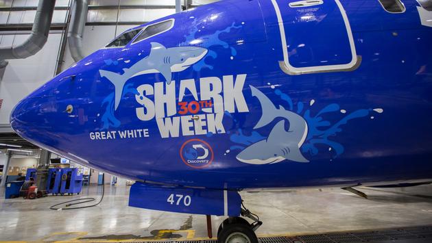 southwest shark week